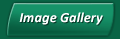 Image Gallery